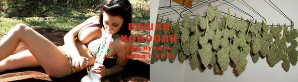 PSILOCYBIN Пересвет