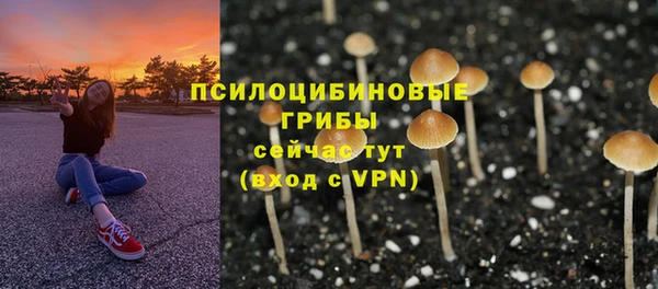 соль ск Алексин