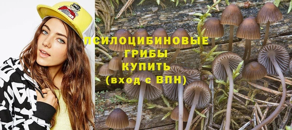 не бодяженный Арсеньев