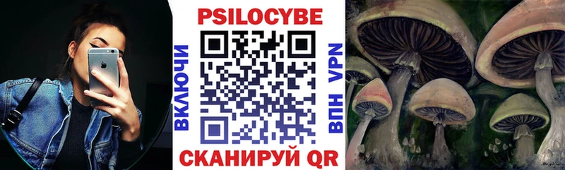 Псилоцибиновые грибы Psilocybine cubensis цена наркотик Пролетарск